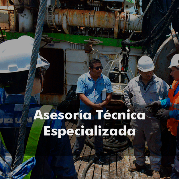 Asesoría técnica especializada